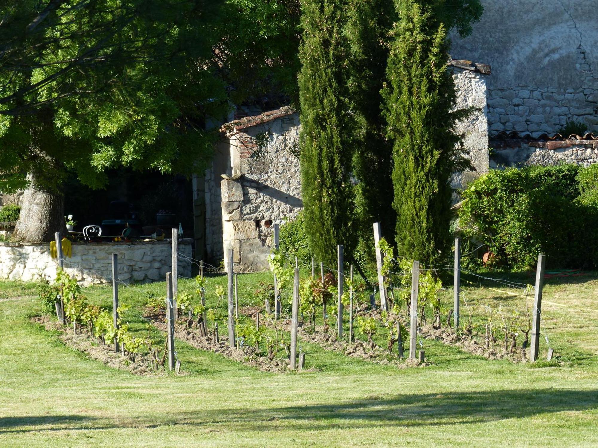 Domaine De La Monestarie - Teritoria Hotel Bernac  Eksteriør billede