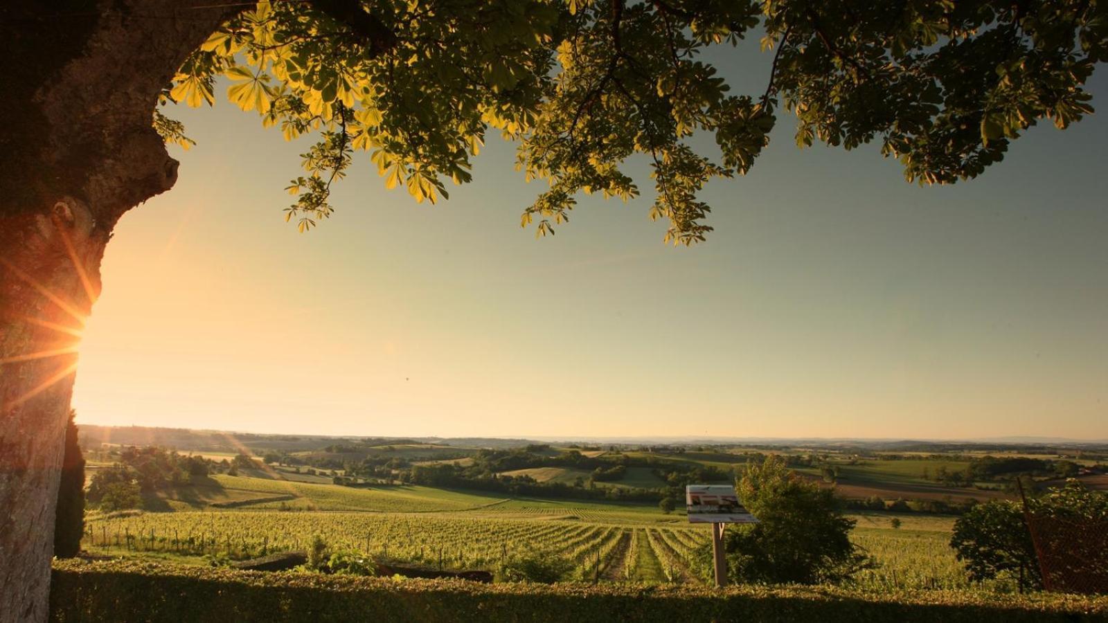 Domaine De La Monestarie - Teritoria Hotel Bernac  Eksteriør billede
