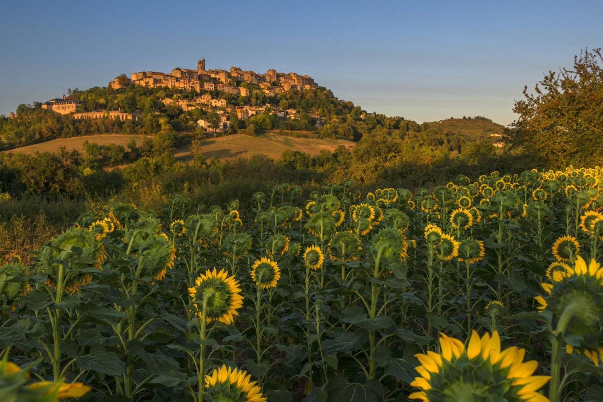 Domaine De La Monestarie - Teritoria Hotel Bernac  Eksteriør billede